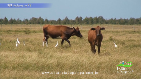 12. Levanta Velho.00_02_37_01.Quadro034_08211072e4d000f46f34f896bcc0cf5c5813b294.jpg